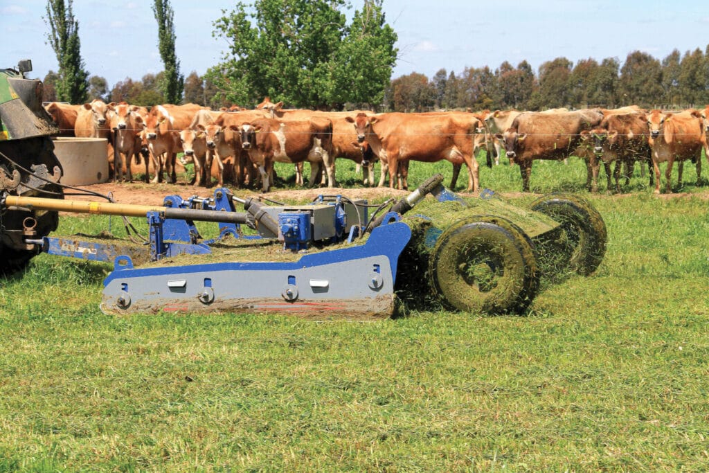 Gason Pasture Toppers